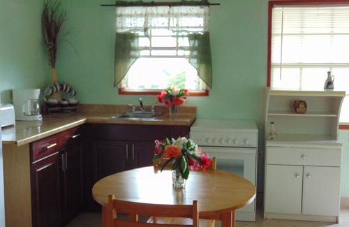 Runaway Bay Apartment | Antigua Seaview Oceanview 9