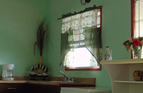 Runaway Bay Apartment | Antigua Seaview Oceanview 9