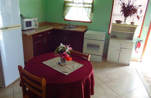 Runaway Bay Apartment | Antigua Seaview Oceanview 9