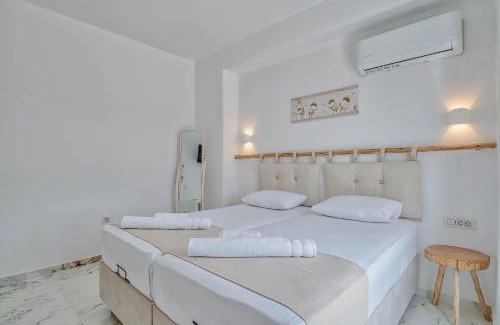 Antiparos Villa | Antiparos Villa Oliva