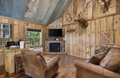 Branson Cabin | Antlers Point - Cabin for 4