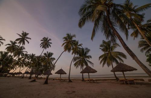 Chwaka Hotel | Antonio Beach Tree House Hotel & Spa