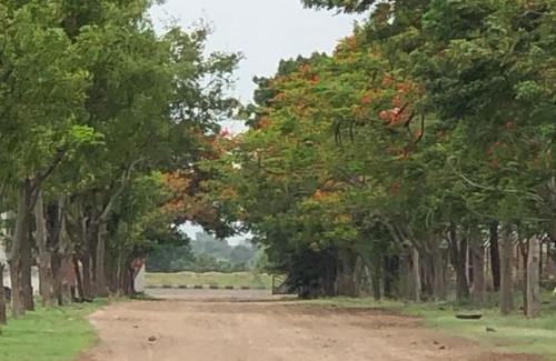Sinnar Villa | Anubha Niwas