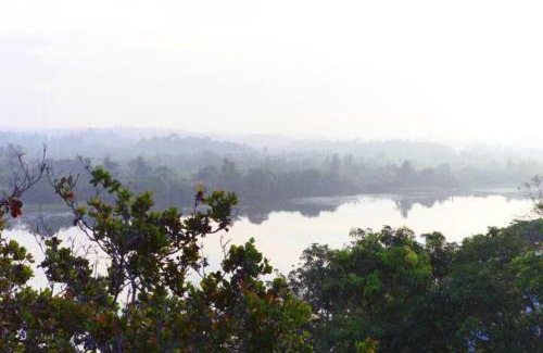 Ilukgoda Bed & Breakfast | Anugaa by the river Bolgoda