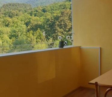Dilijan Apartment | Anush Apartment