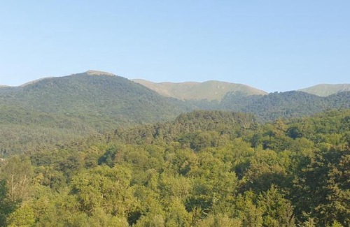 Dilijan Apartment | Anush Apartment