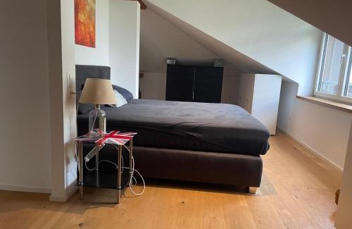 Iragna House | Apaprtamento mansardato