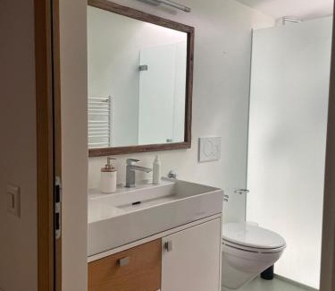 Iragna House | Apaprtamento mansardato