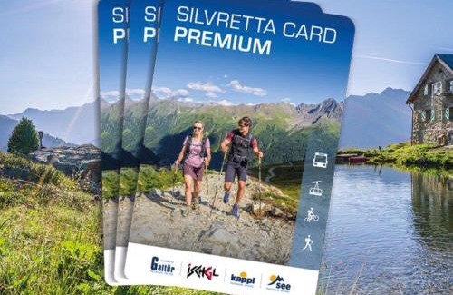 See Apartment | Apart Gstrein - including Silvretta Premium Summercard
