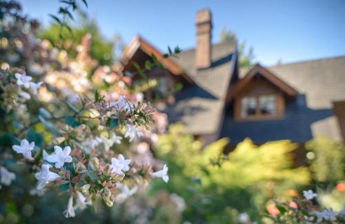 Lanin National Park Apartment | Apart Hotel La Bora