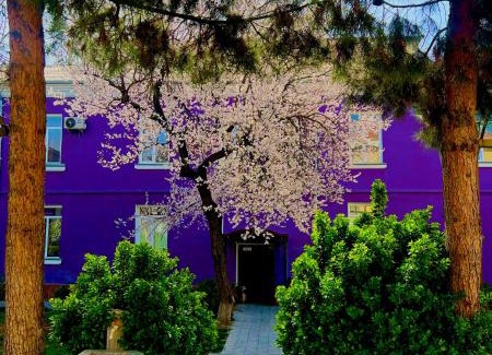 Khujand Apartment | Apart Hotel Armon