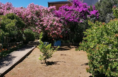 Cove Murtar Apartment | Apartment Vanja (115861-A1) - Mali Losinj - island Losinj