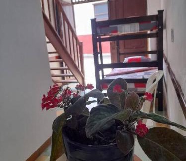 Zapatoca Apartment | Apartaestudio cerca a parque Zapatoca