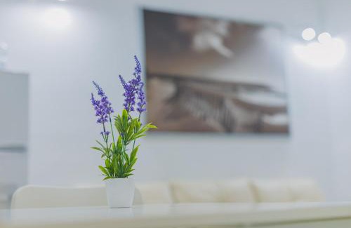 El Puerto de Santa Maria Apartment | Apartamentos casa palacio