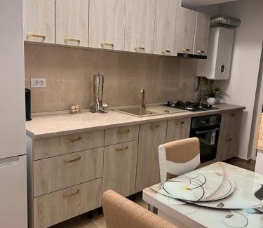 Iasi Apartment | Apartament 2 camere Proximitate Aeroport