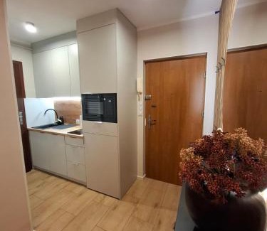 Zloty Stok Apartment | Apartament Alchemia Gór
