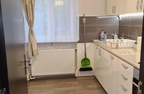 Emanoil Gojdu Apartment | Apartament Alina - la parter & parcare rezervata