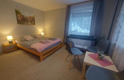 Wisla Apartment | Apartament ANWAN