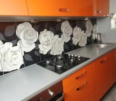 Zgorzelec Apartment | Apartament Arena