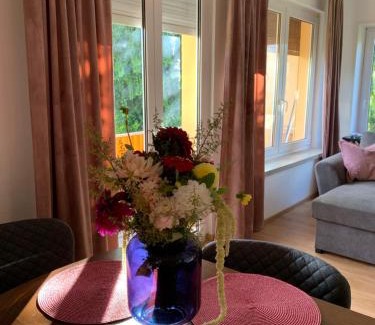 Singen Apartment | Apartament Blumenblick