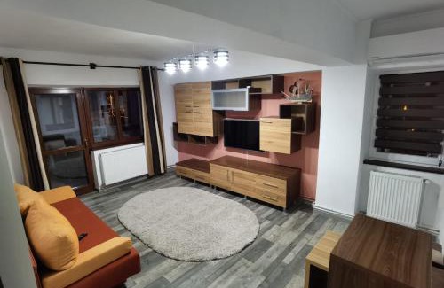 Tirgu Jiu Apartment | Apartament - central