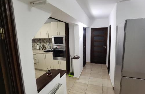 Tirgu Jiu Apartment | Apartament - central