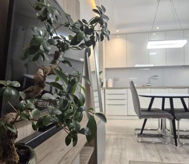 Kielce Apartment | Apartament Centrum obok Rynku z garażem