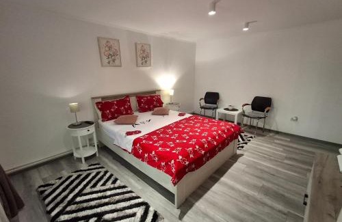 Emanoil Gojdu Apartment | Apartament Claudia