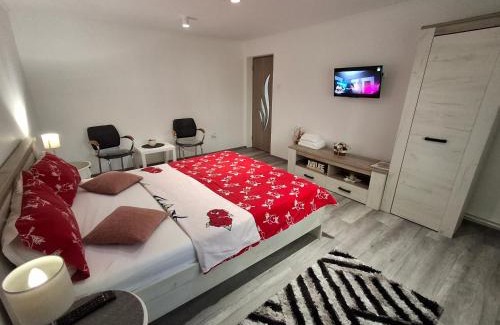 Emanoil Gojdu Apartment | Apartament Claudia