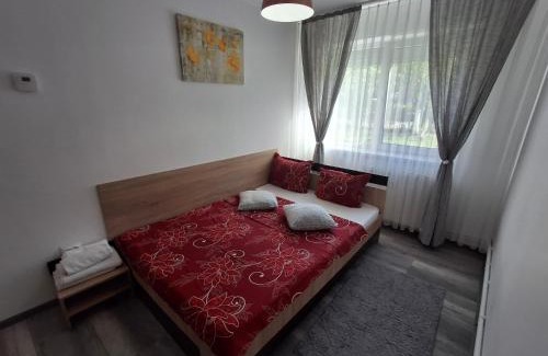 Emanoil Gojdu Apartment | Apartament Claudia