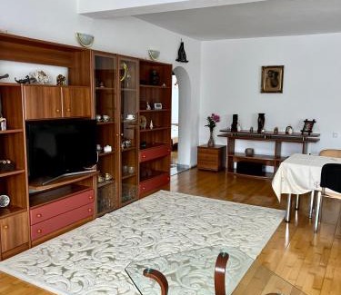 Baile Olanesti Apartment | Apartament Confort - Baile Olanesti