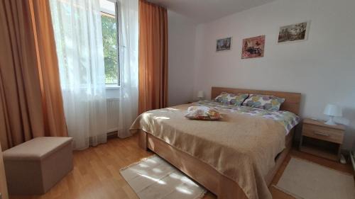 Orsova Apartment | Apartament Cozy Orsova