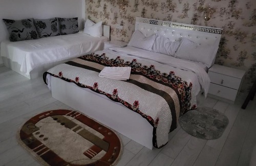 Satu Mare Apartment | Apartament cu terasa si gratar