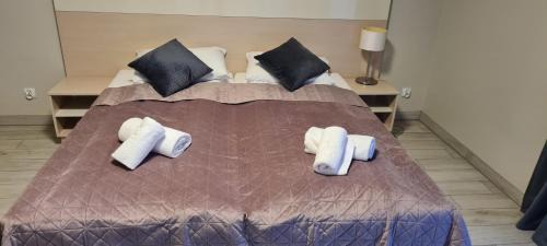 Sienna Apartment | Apartament Czarna Góra S25