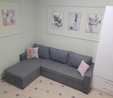 Rade Apartment | Apartament Ergi-Erlind