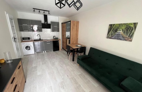 Bydgoszcz Apartment | Apartament F Mazowiecka 29 self-check-in