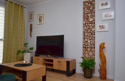 Zawiercie Apartment | Apartament Gustav
