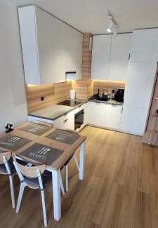 Torun Apartment | Apartament Helen II
