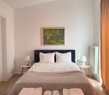 Cluj-Napoca Apartment | APARTAMENT Iaroi 2