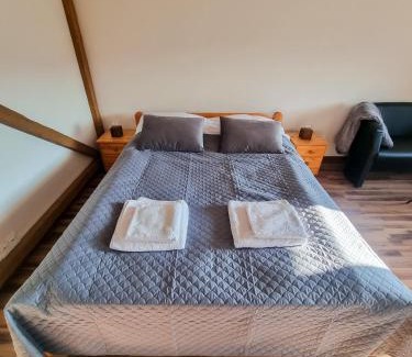 Czestochowa Apartment | Apartament Jurajski parking 8 minut od alei