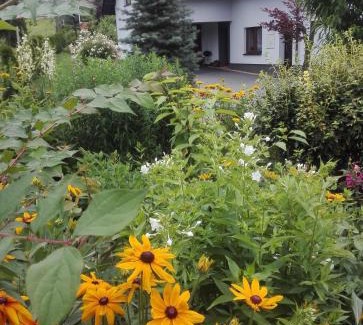 Spytkowice Apartment | Apartament Leszczynowa 7 blisko Zatora