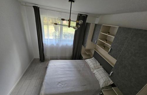 Satu Mare Apartment | Apartament M&B