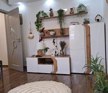 Medias Apartment | Apartament Medias Metanului