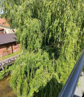 Olecko Apartment | Apartament nad rzeką Lega