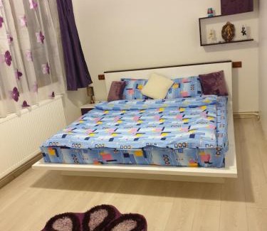 Orsova Apartment | Apartament Oana's Home