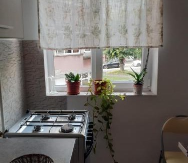 Ramnicu Valcea Apartment | Apartament particular