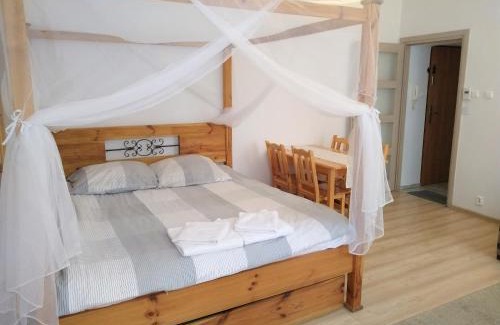 Nowy Sacz Apartment | Apartament Pijarska