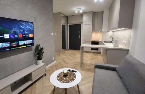 Srodmiescie Apartment | Apartament Pomorska 107A