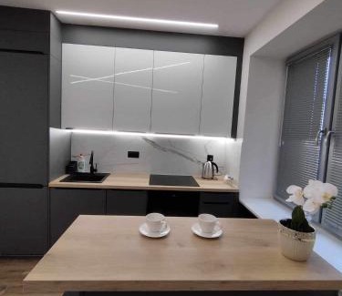 Kielce Apartment | Apartament przy Filharmonii i KCK
