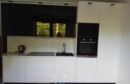 Saspow House | Apartament Przy Skale u Anny